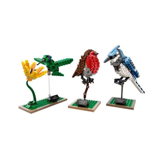 Das LEGO Set Birds-2