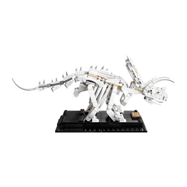 Das LEGO Set Dinosaurier-Fossilien-19