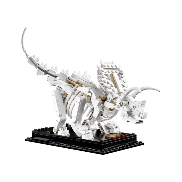 Das LEGO Set Dinosaurier-Fossilien-7