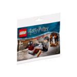 Das LEGO Set Harry's Reise nach Hogwarts™-3