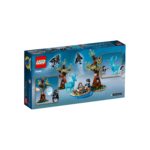 Das LEGO Set Expecto Patronum-6