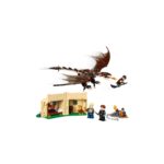 Das LEGO Set Das Trimagische Turnier: der ungarische Hornschwanz-4